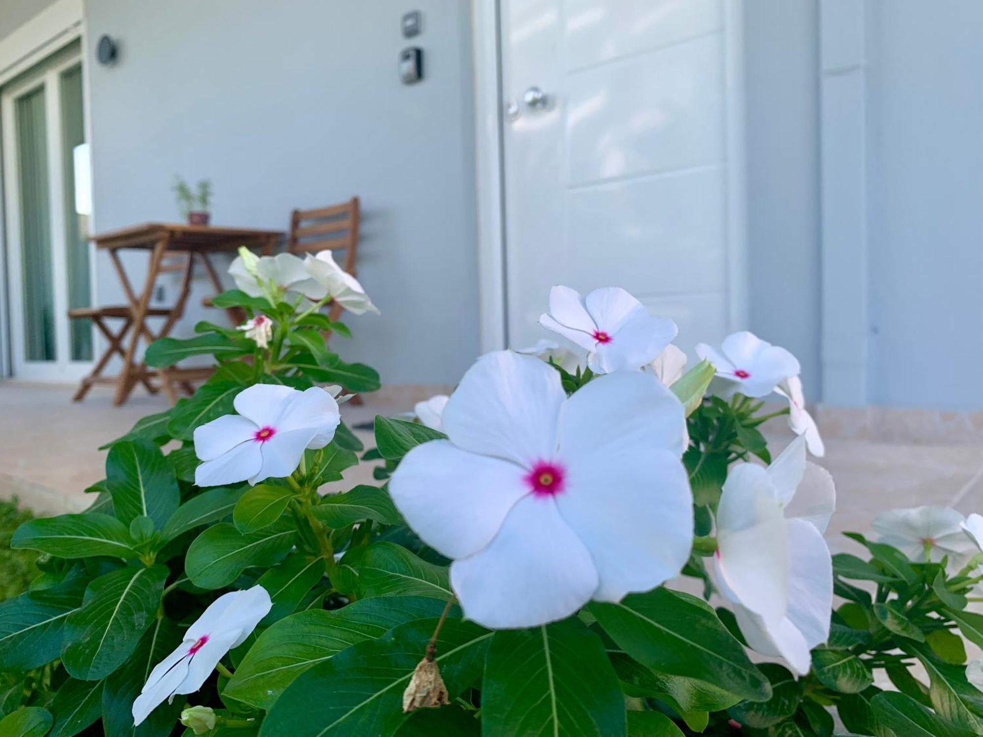 Spáta Modern Mint Sunny House Near The Airport 아파트 외부 사진